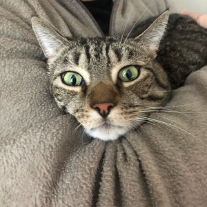 Meet your Posher, Ellen